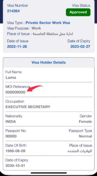 A Photo of a work visa