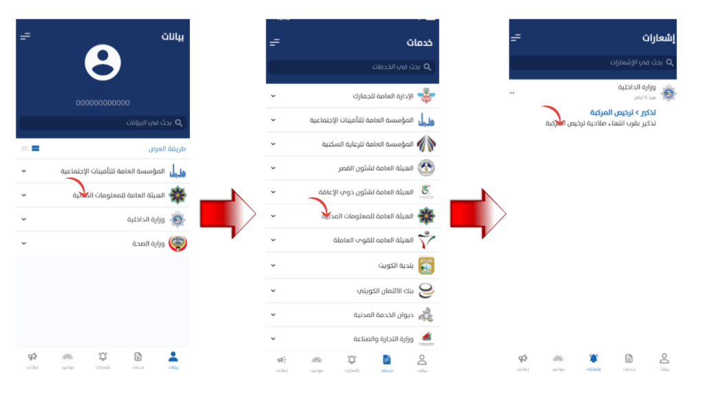 Sahel app infoghrpahics