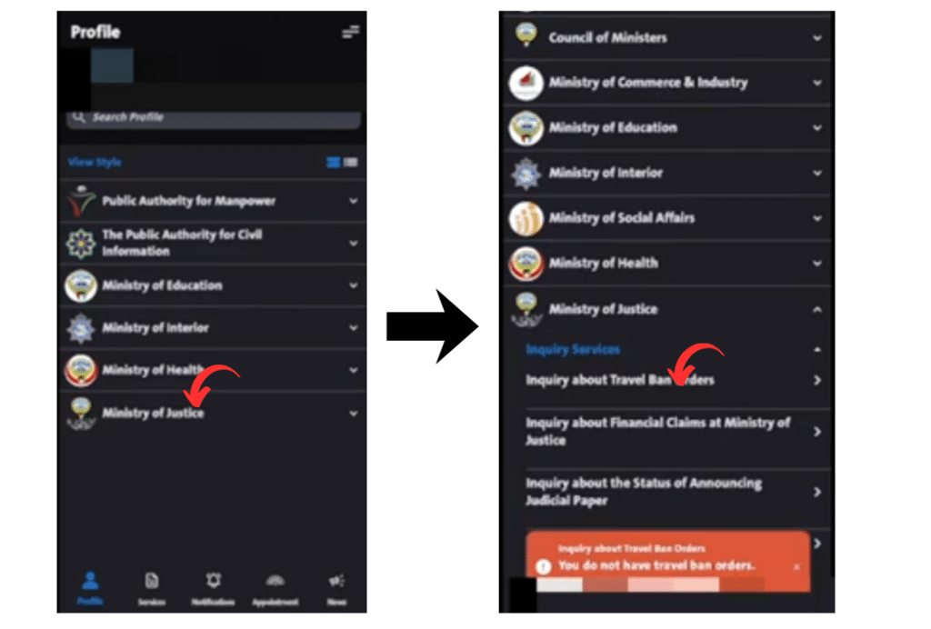 Sahel app showing Ministry of Justice inquiry services to check travel ban status and confirming no travel ban orders.